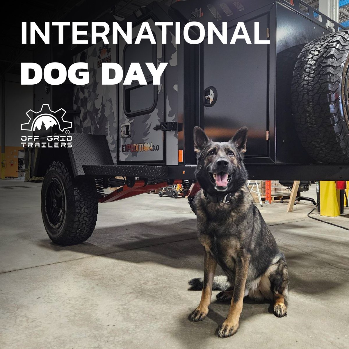 offgridtrailers's tweet image. Share your &quot;Adventure Pups&quot; for International Dog Day!
 
Happy International Dog Day from Off Grid Trailers and this loyal pup who joined the family for their trailer pickup! 🌲🏕️
 
bit.ly/45xcpDG
 
#InternationalDogDay #OffGridTrailers #AdventureDogs #CampingWithPets