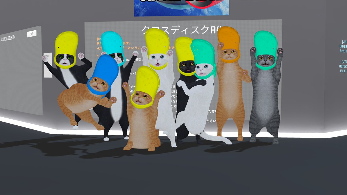穴あきサンダル猫ちゃん Discussion Community - 6 Members | X