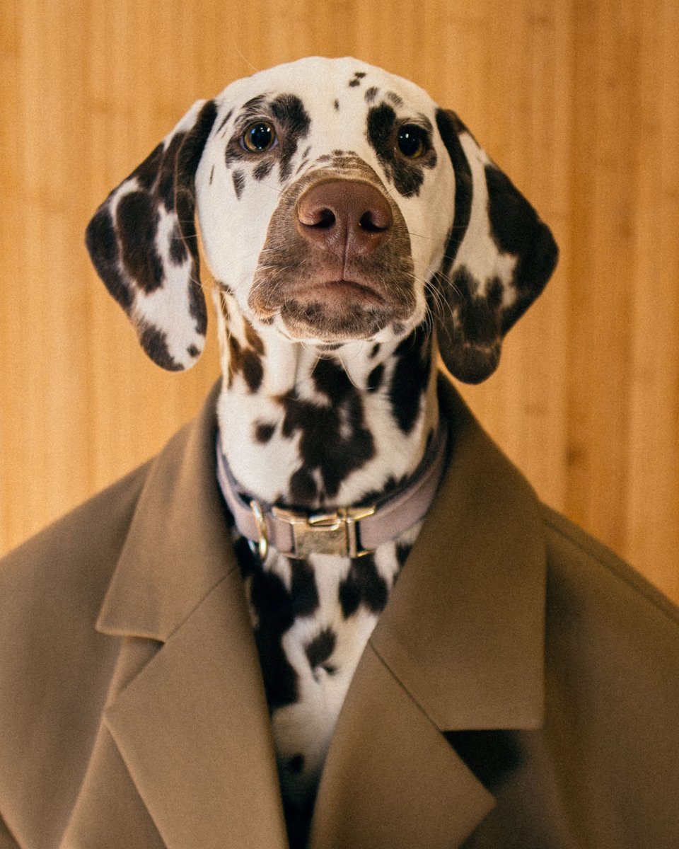 Nanushka tweet media