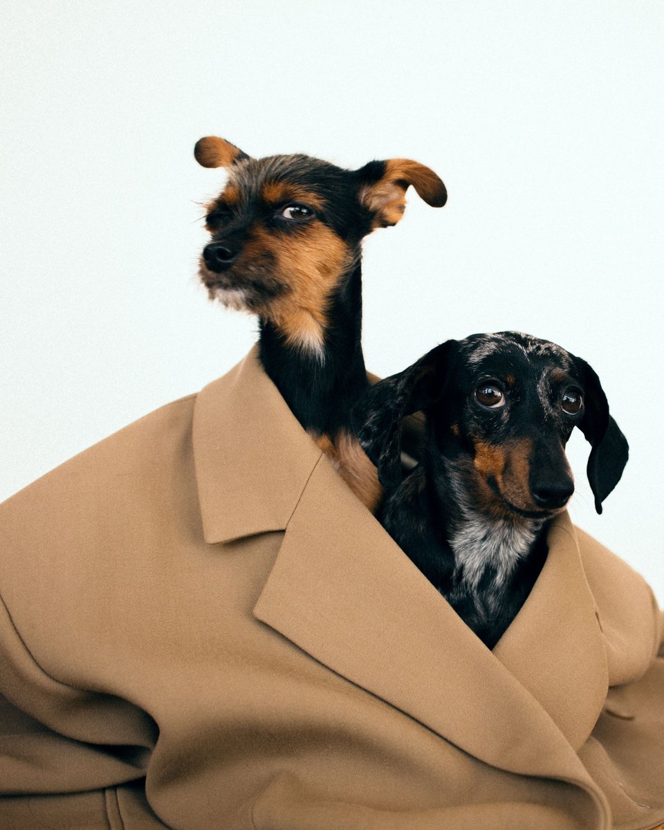 Nanushka tweet media