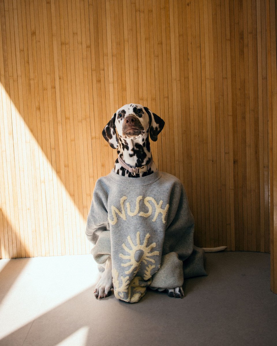 Nanushka tweet media