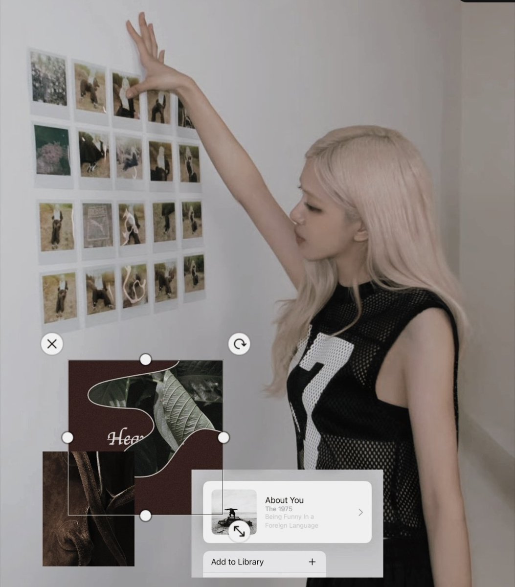 Roseee's tweet image. ✺ ,   xx.,  a little bit confused. &amp;amp;&amp;amp;