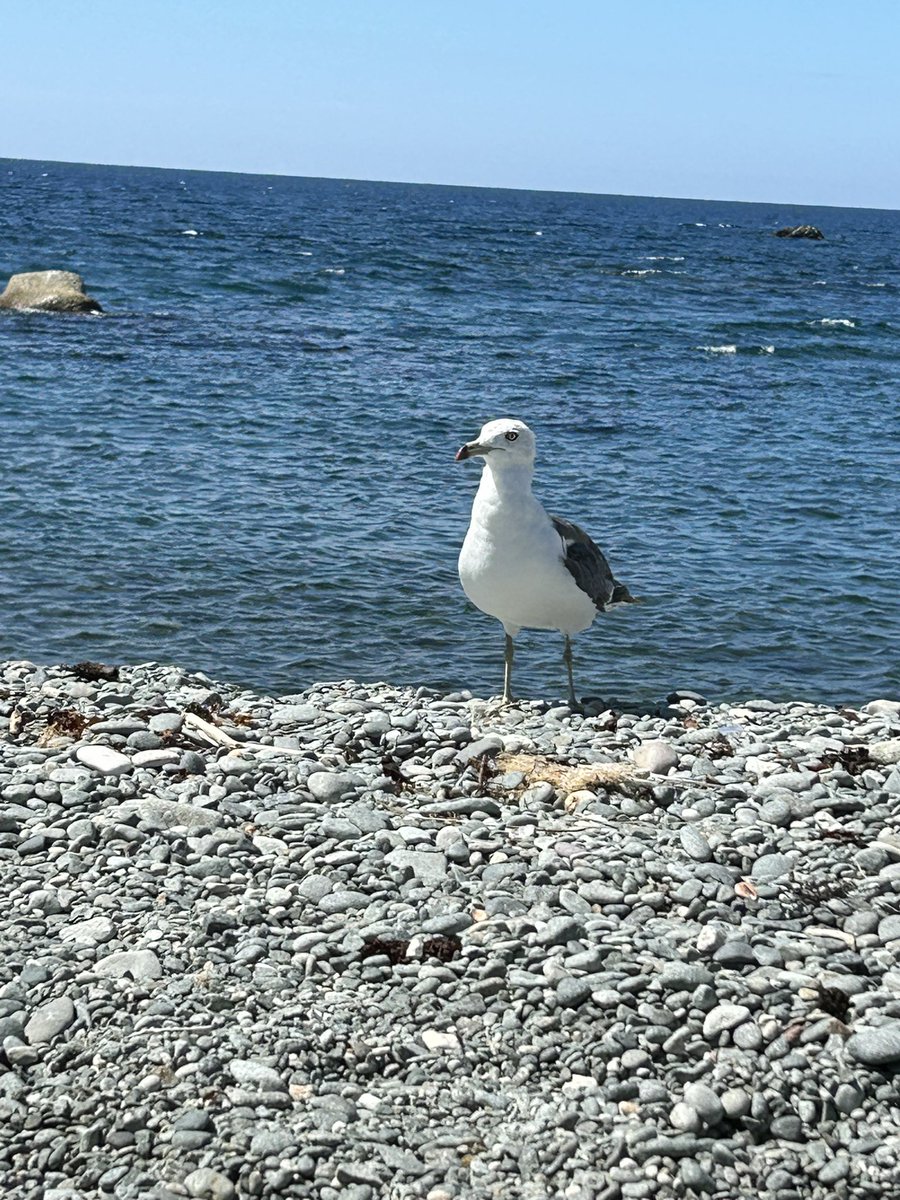ライブでよく話すんだけど、SNSのいいねの数見て一喜一憂してるとか何の意味もない
いいねの数が答えでもなきゃその人の価値でもない

会いたい人や行きたい場所に素晴らしい景色でも見ながら行ける限り行ってちゃんと生で感じて欲しい

本当に大切な物は携帯の中には無い
SNSなんて人生のオマケだよw