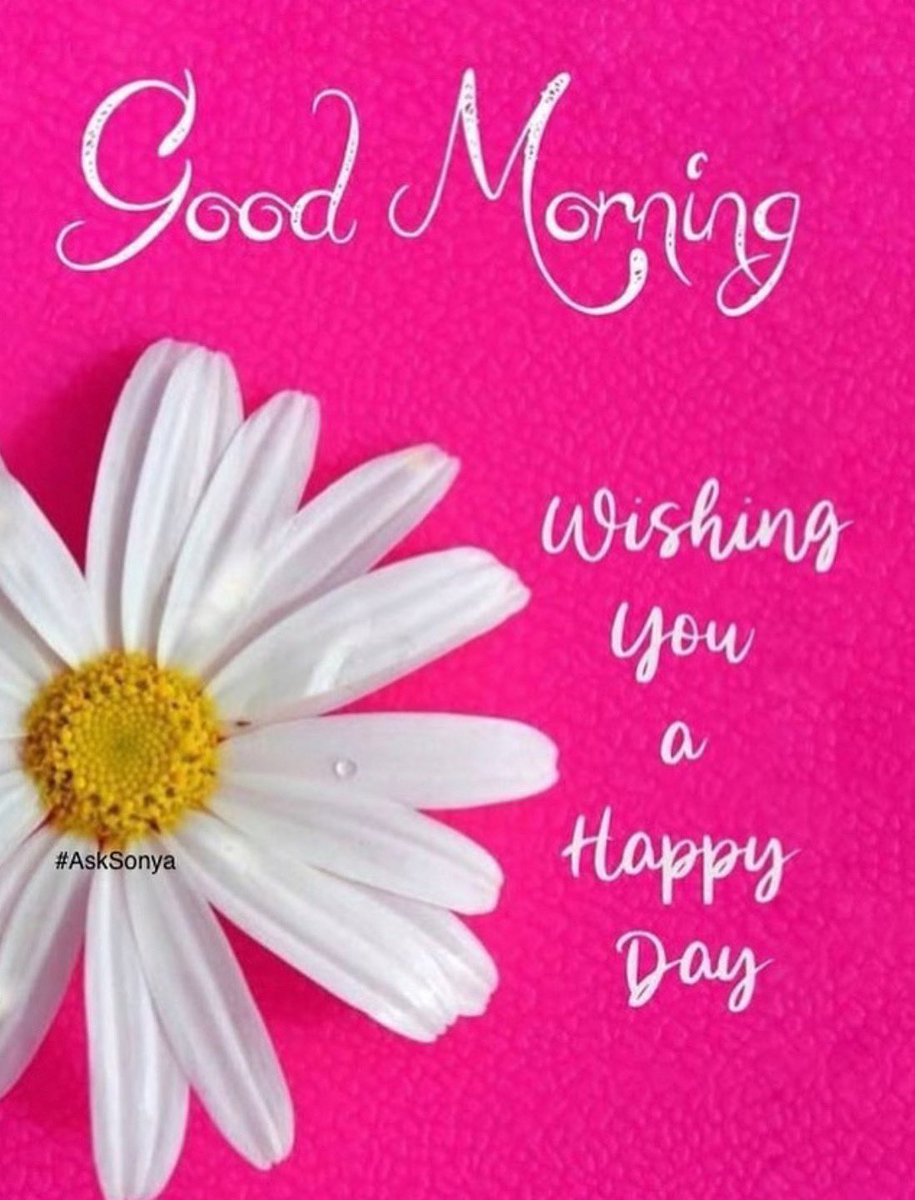 sonyashines's tweet image. Good morning, 

Breathe
in the life all around you;
breathe out your grateful energy.
That's enough.
You are enough.
❤️

Soul coaching, by Sonya

#asksonya #afreshapproach #sonyajanisse #soulcoaching #transformationtuesday