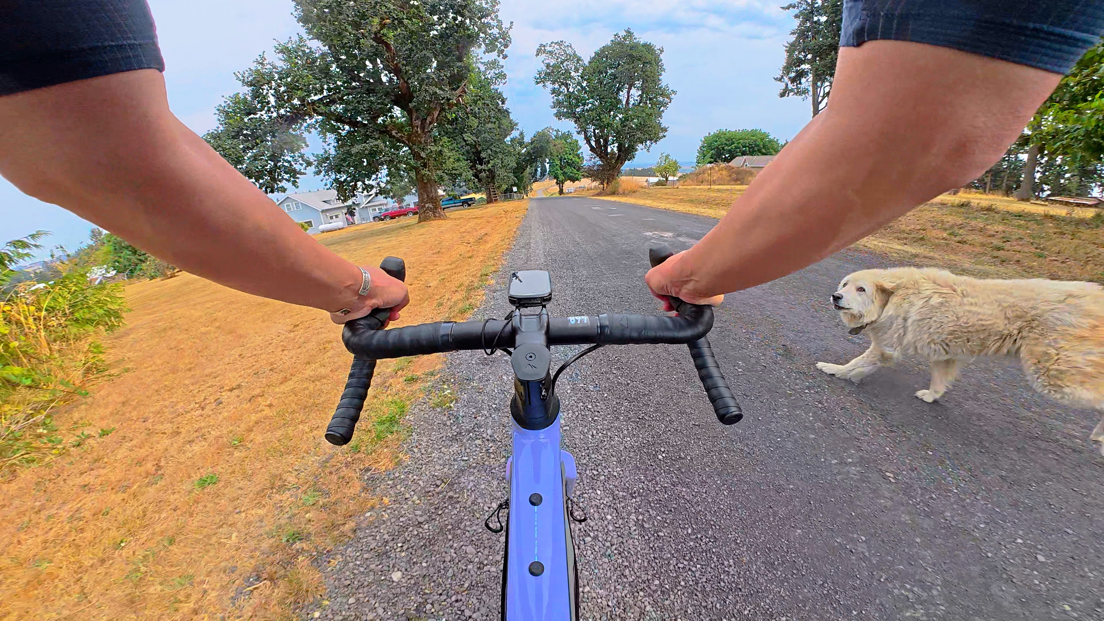 ヒロム (@varpscream_m) / X