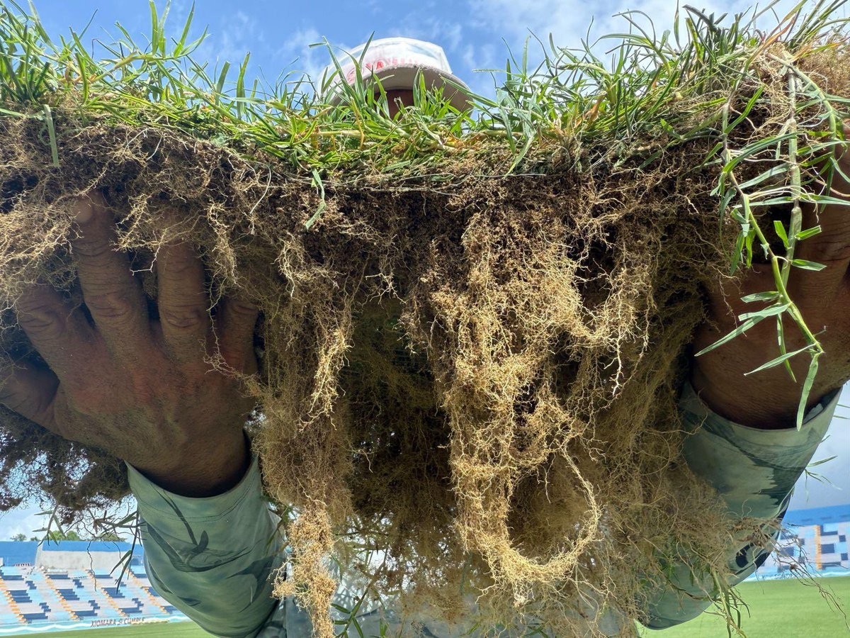 FLexGrass tweet media