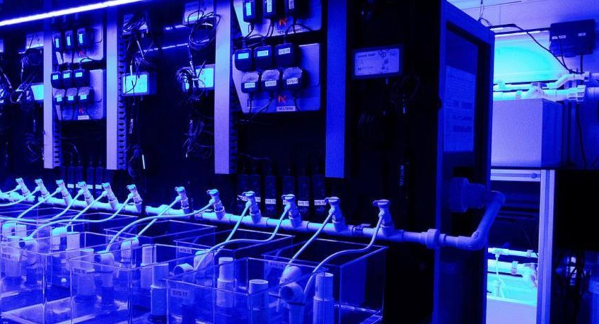 La Universidad de Plymouth busca transformar la investigación y docencia en acuicultura con sus nuevas instalaciones buff.ly/yJ9XdZ8 

Se trata del Marie Lebour Marine Biology Research Facility