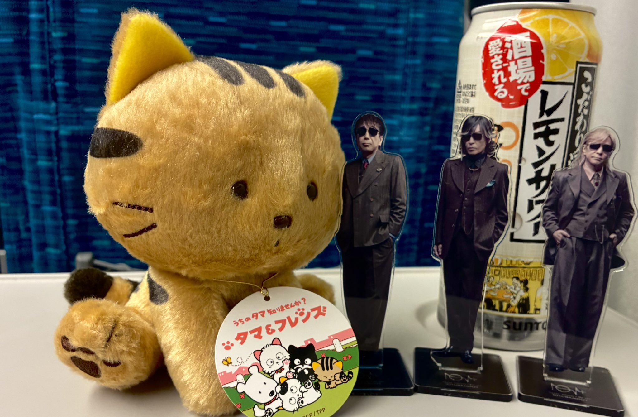 みっちゃんさん専用募金箱 🌈みっちゃん🌍💫 on X: 