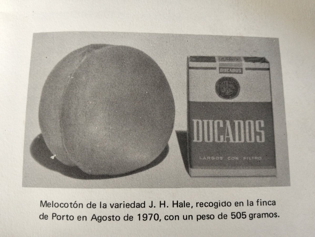 Folleto da época na que usar paquetes de tabaco de referencia non era politicamente incorrecto 😬