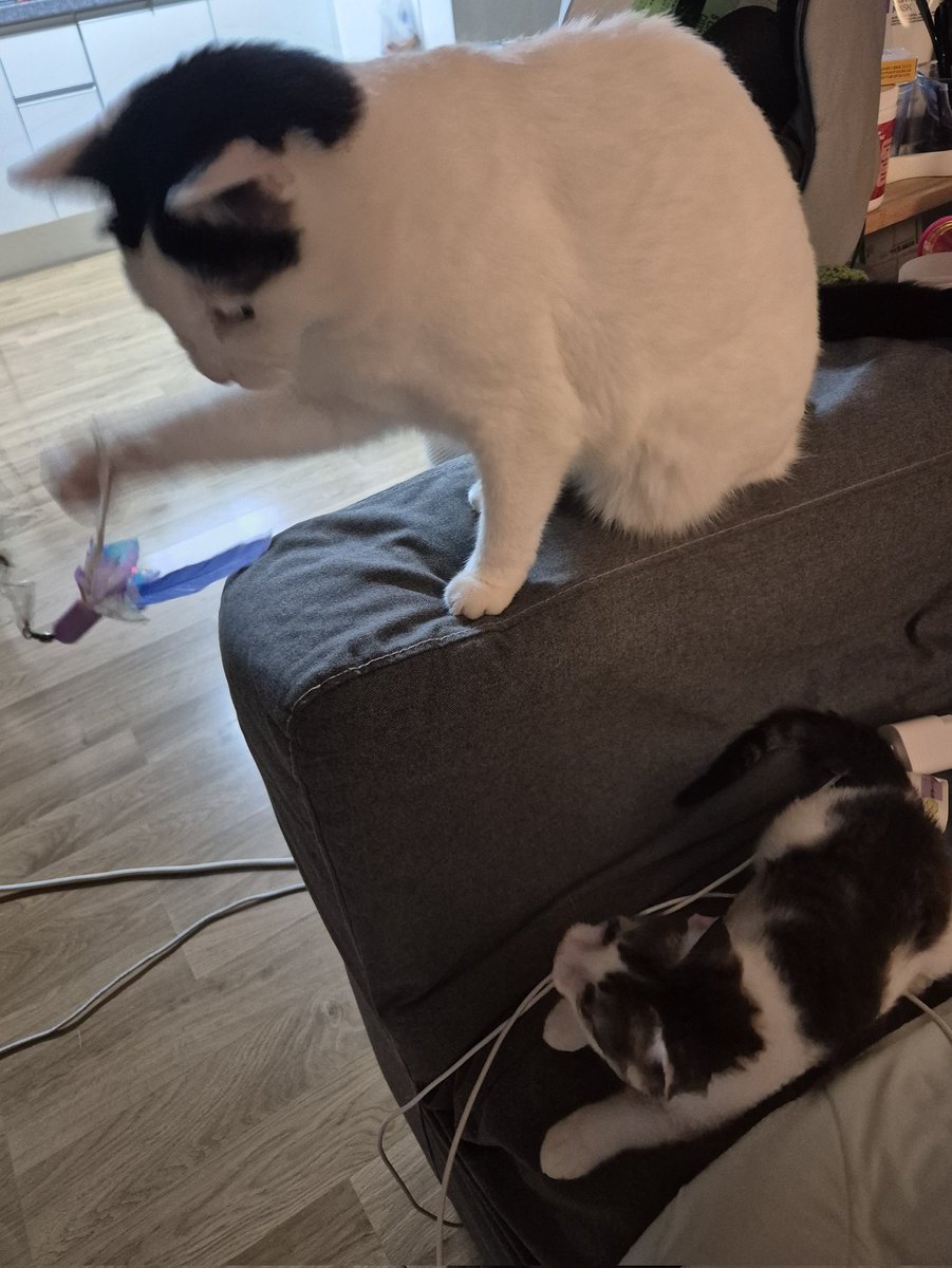 언니하는거 잘봐..
이르케 샥 잡는고야..              

                                                오오오!!!!