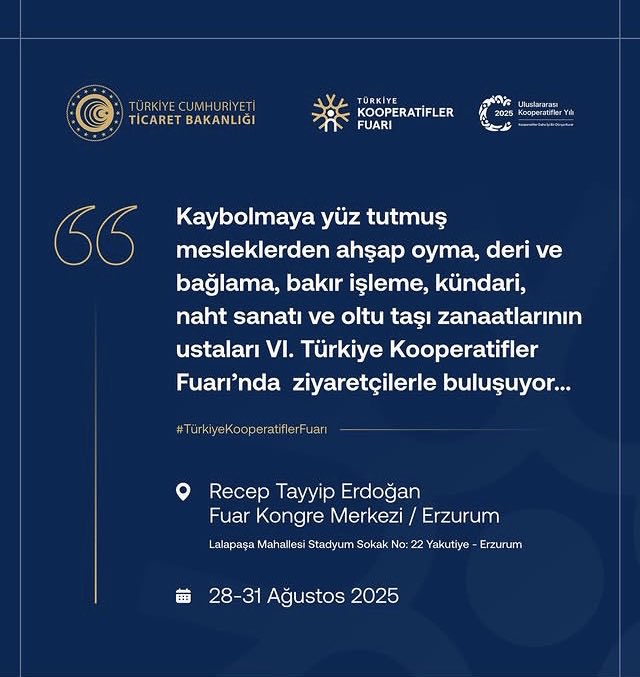 Hatice Gök 🇹🇷 (@haticegok_) on Twitter photo 