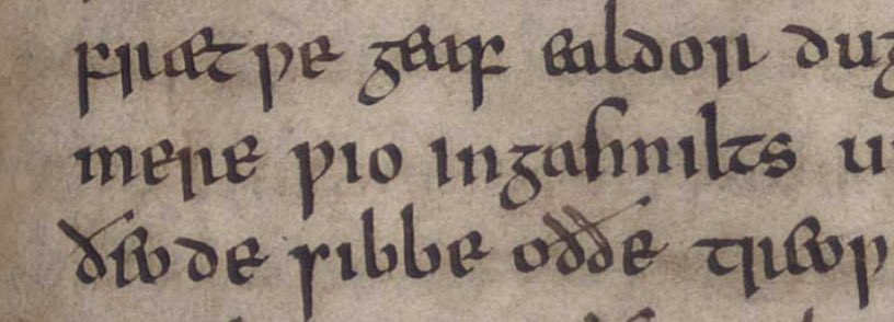 The Beowulf scribes did admirably, but really had no idea what they were writing. This at times led to some hilarious mistakes.

Here what was supposed to be <Merewioingas milts> (the mercy of the Merovingian) was written as <mere (lake) wio (maybe woe?) ingasmilts (???)>