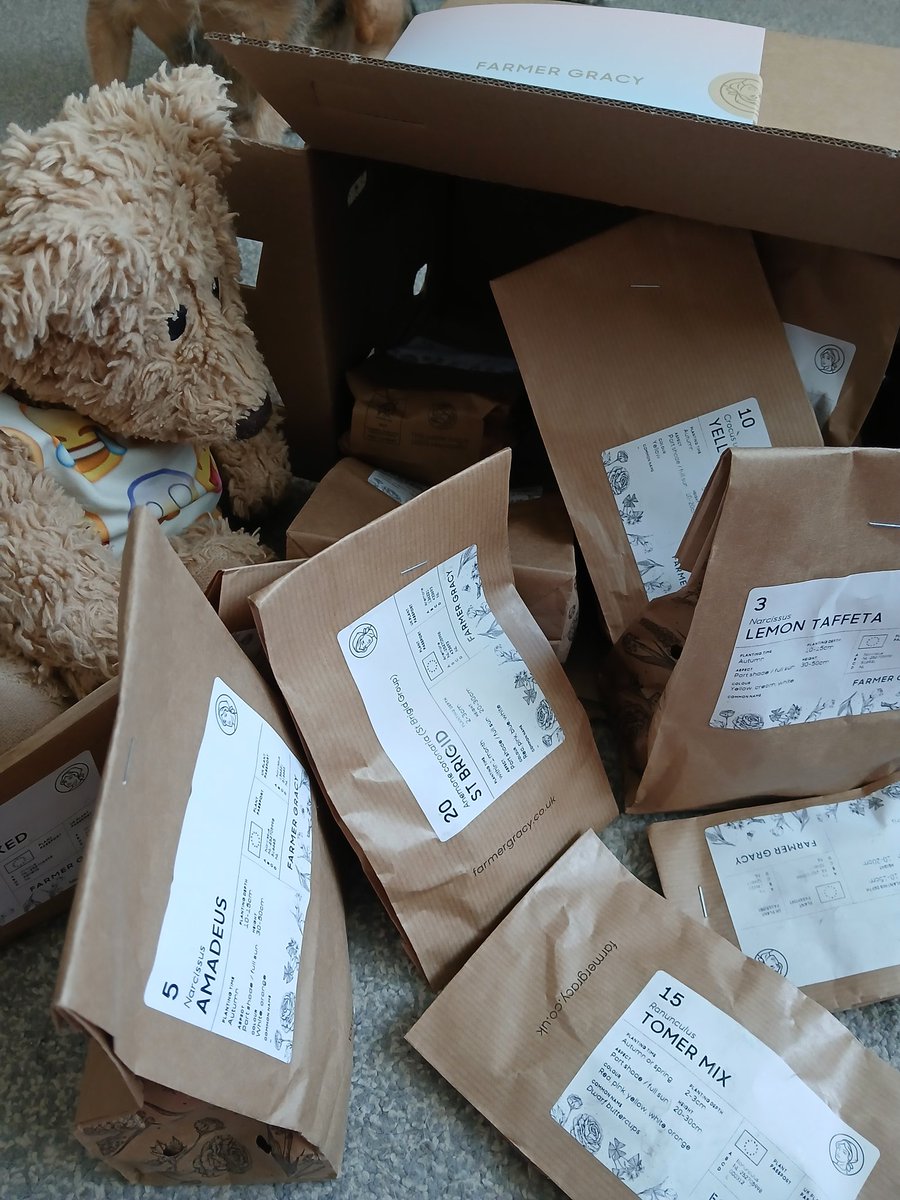 Edward🐻 tweet media