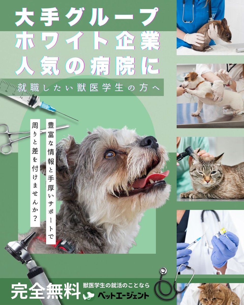 JAVS（日本獣医学生協会） (@javs_kohobumon) / X