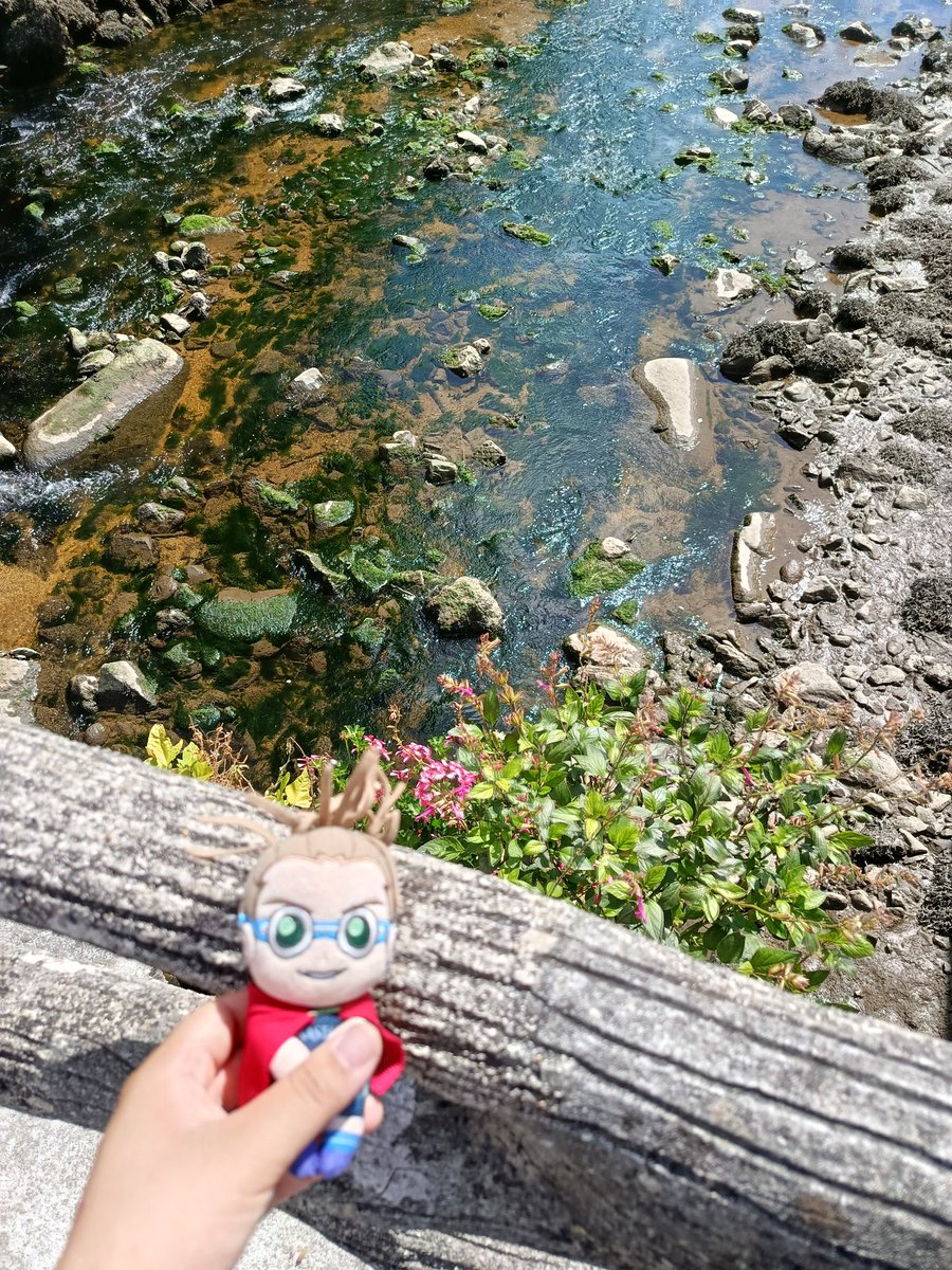 Where is Kidou Today (@where_is_kidou_) on Twitter photo 