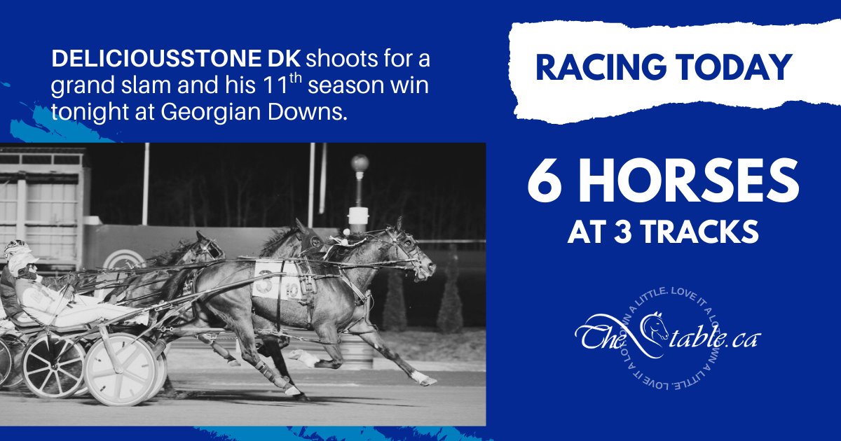A six-pack for Tuesday racing at Pocono Downs, Scioto Downs and Georgian Downs:

thestable.ca/upcoming-races/

#ownalittleloveitalot