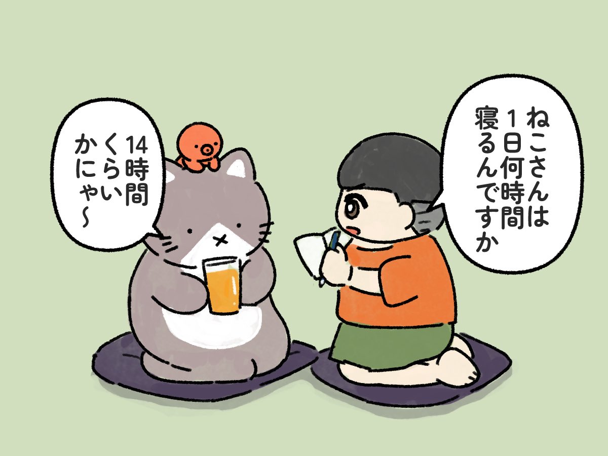 【本日のねこ】
小学生の自由研究で取材を受けるねこ