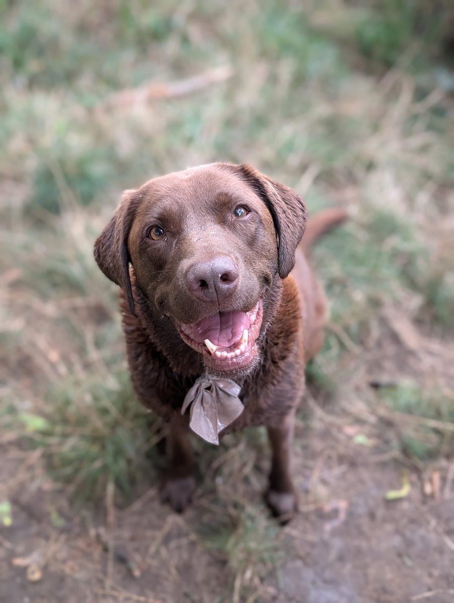 Biscuit saves her very best faces for Ellie 🤎
