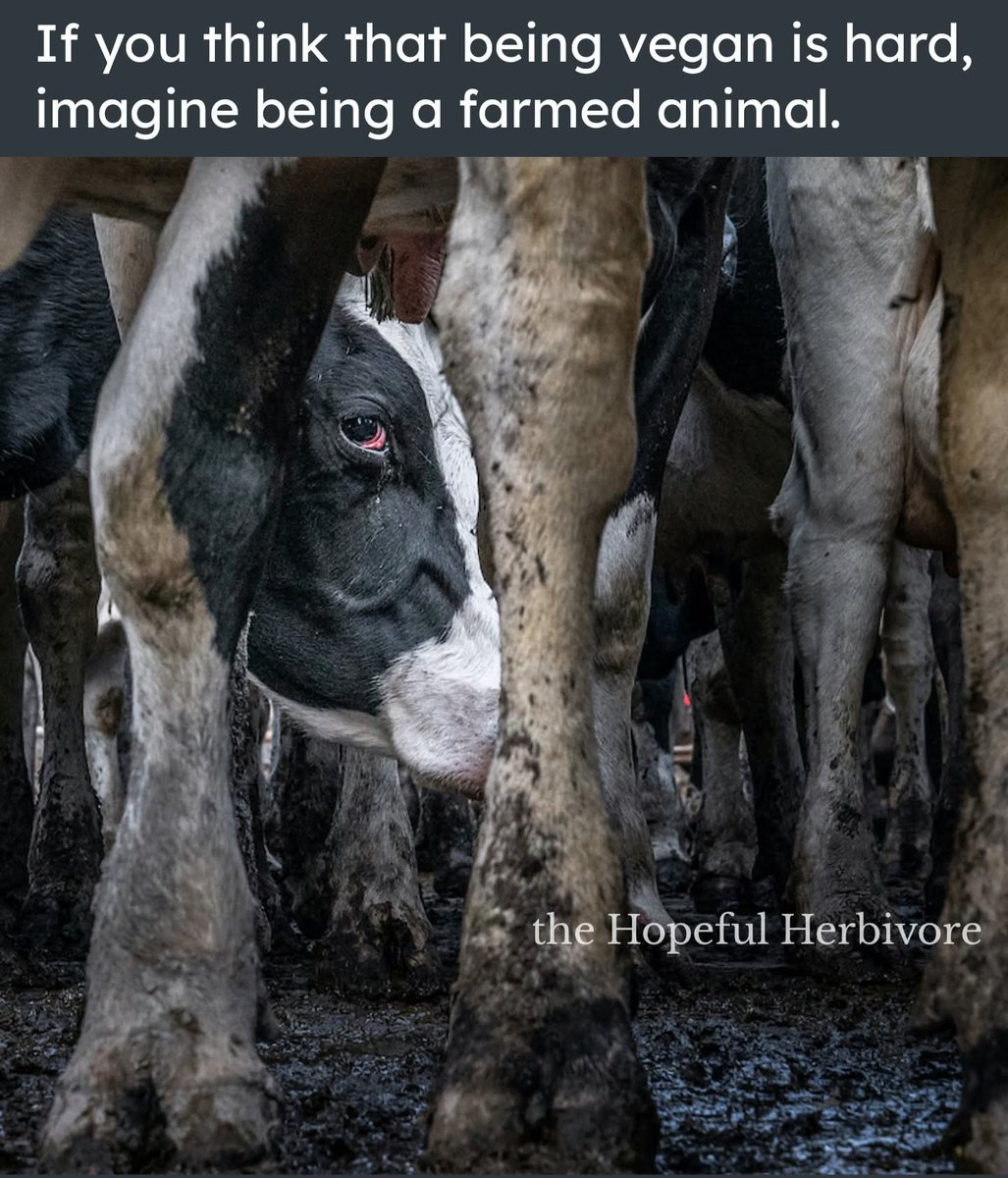 💔💔💔💔💔💔