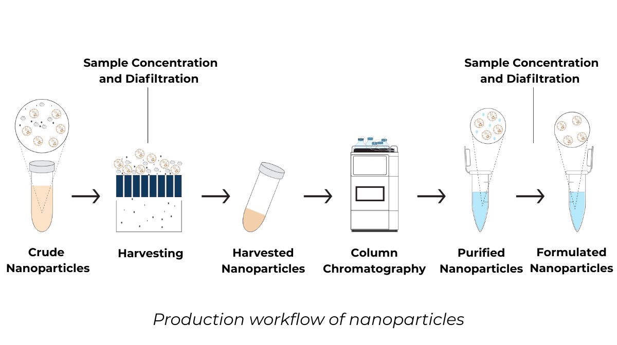 formulatrix's tweet image. Nanoparticle Processing Using the µPulse® - TFF System
Learn more: hubs.ly/Q03DZkKM0

#Nanoparticles #µPulse #TangentialFlowFiltration #Filtration #Formulatrix