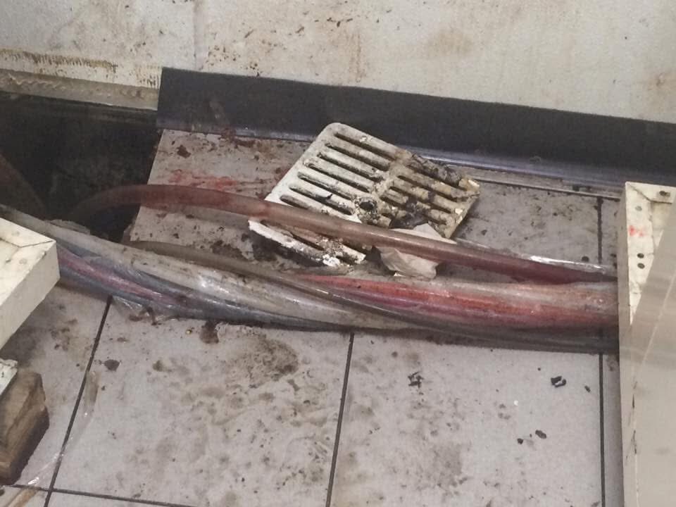 Hidden under the floor of every 7-11 is a complex network of nerve bundles and veins.