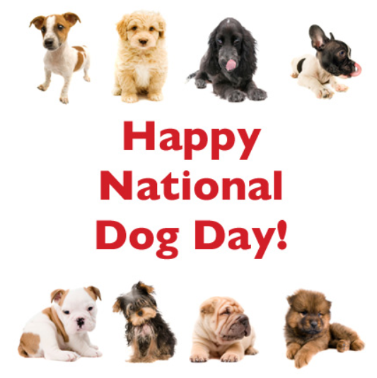 TAV4ACCMedicals's tweet photo. #happynationaldogday
#DOGust
#TeamAnimalVoice wishes
Extra cuddles & treats for your BFF! https://t.co/2tRwNcymy4