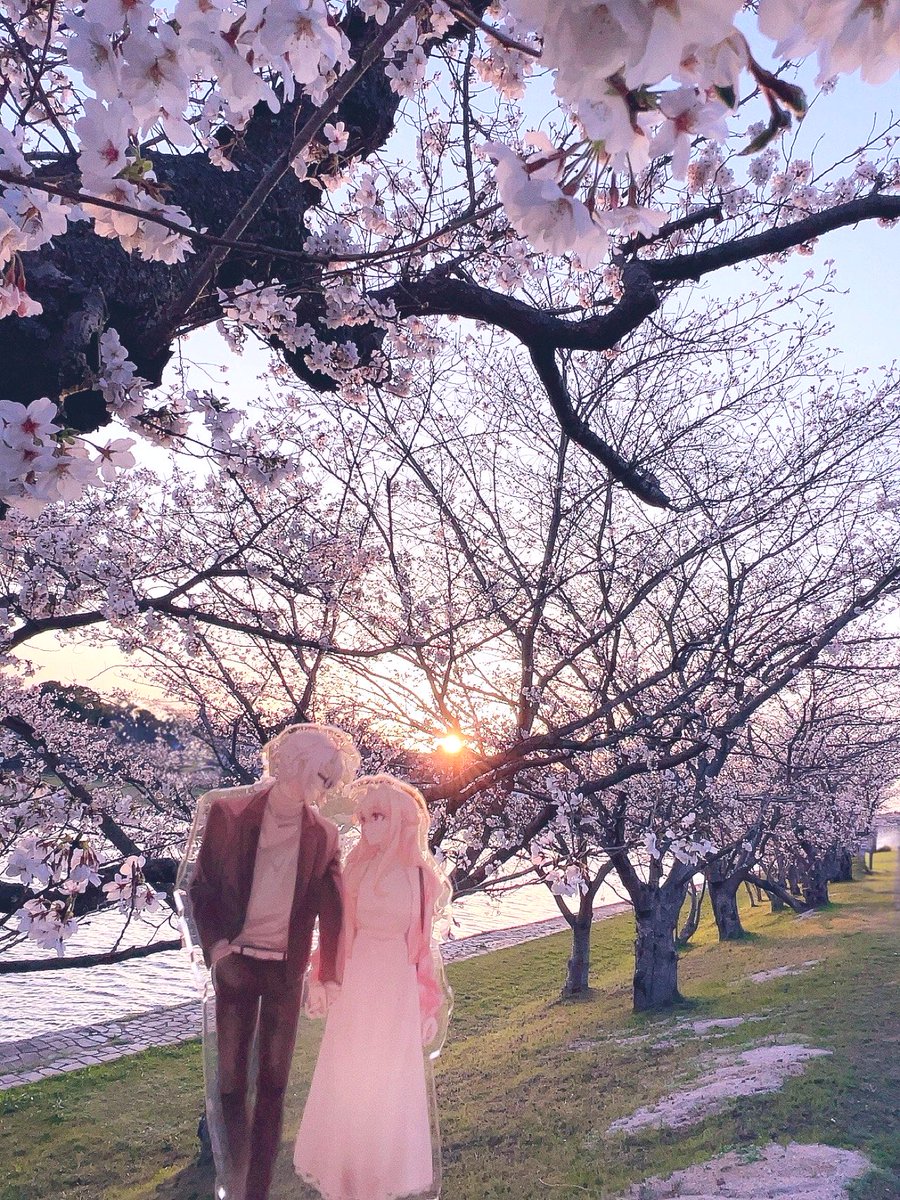 sayo01ego's tweet photo. 今日は楽紡の日…！🥺🫶
春に桜と撮った写真🌸

素敵なアクスタは、芥々様(@2cz5g)よりお迎えさせて頂きました✨
※アクスタは作家様の二次創作です。

#楽紡の日 https://t.co/4ehkpOjyTe
