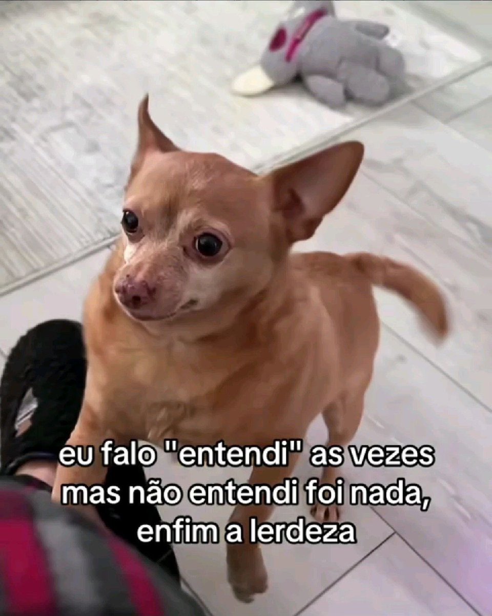 Pagina lixo (@paginalixo1) on Twitter photo 