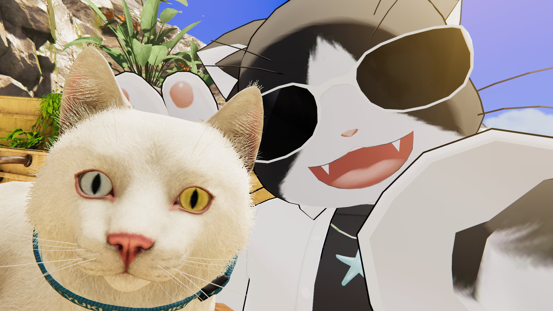 ねこさん様へ Kizineko-sama | 「こわ・・・」 ネコの本。買ってくれた、人間
