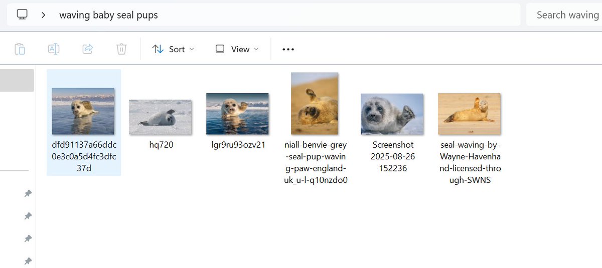 fchle6969's tweet photo. hello oomfies n non oomfies i need to collect these waving seals if u don't mind plis send me some of your favs (especially nerpas) https://t.co/pU95cjHkHo