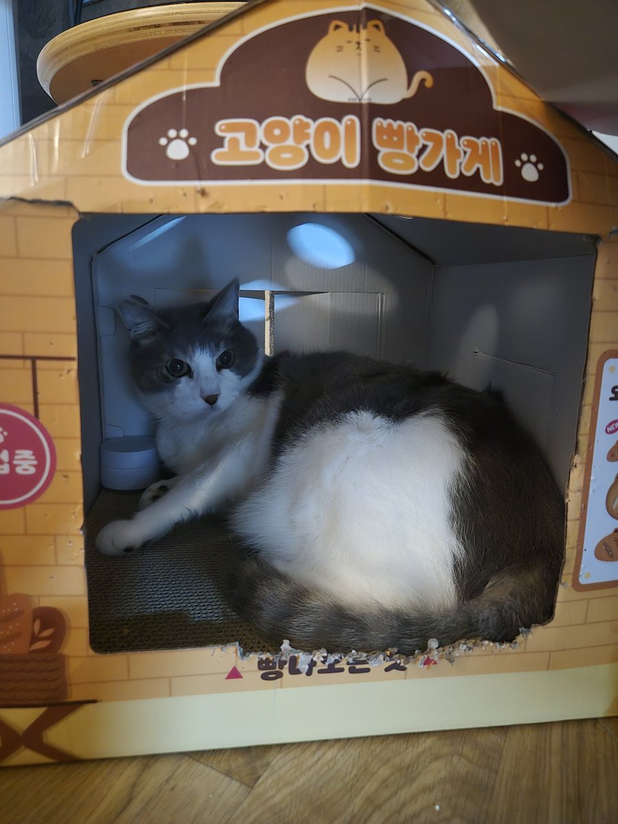 말랭아.. 서열4위 실화냐