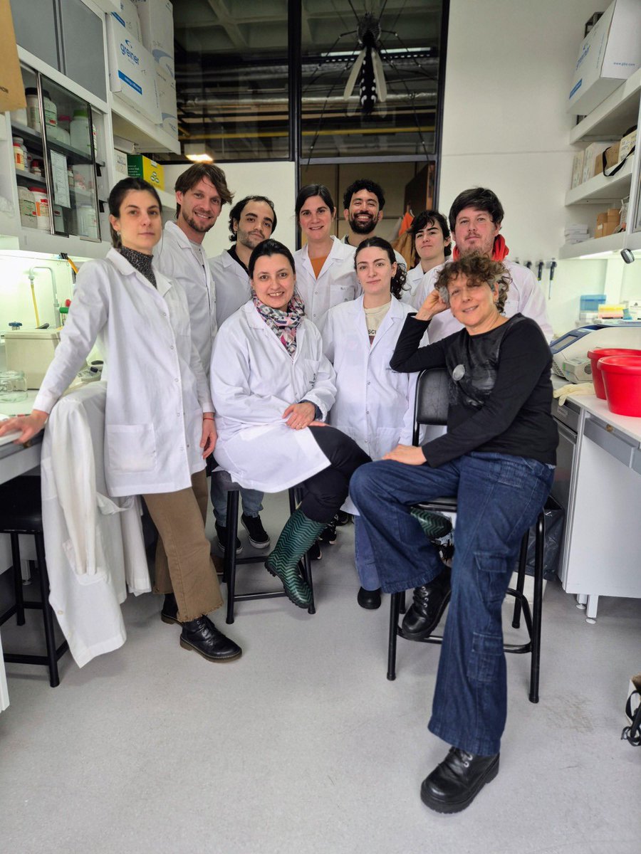 Hoy es el día internacional del dengue.
En nuestro laboratorio trabajamos para buscar soluciones a este importante problema de nuestra sociedad.

Lo hacemos con responsabilidad, rigurosidad y pasión!Gracias al CONICET y al Instituto Leloir. 
Ciencia argentina para los argentinos