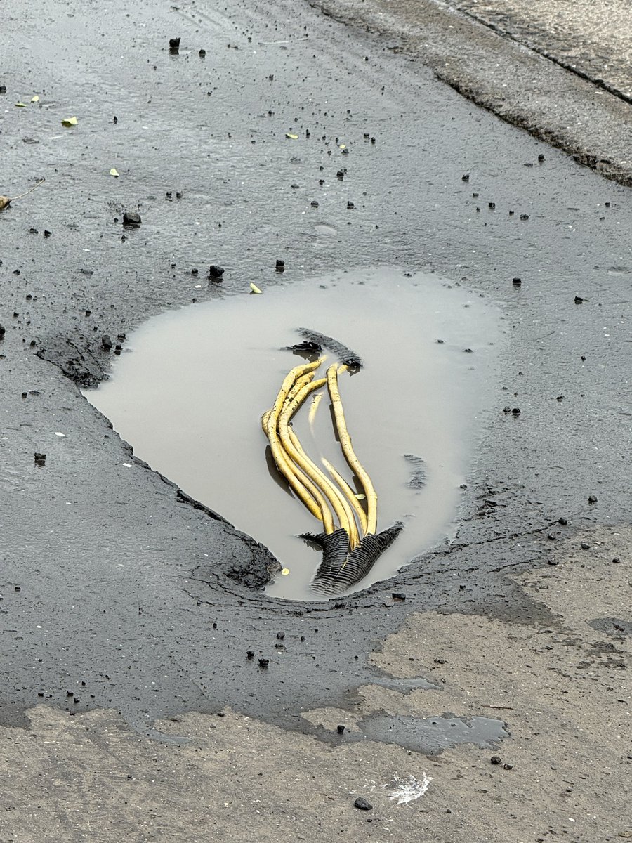 मुंबई Matters™👁️🗨️ (@mumbaimatterz) on Twitter photo These are not a Noodles ... being cooked..
@myBMC
They are Cables lying exposed in a #potholes filled with water.
📌Casaurina Bus Stop, Ghatkopar East.
@<a href="/helpfulnagarik/">Kamath Pravin D</a> These are not a Noodles ... being cooked..
@myBMC
They are Cables lying exposed in a #potholes filled with water.
📌Casaurina Bus Stop, Ghatkopar East.
@<a href="/helpfulnagarik/">Kamath Pravin D</a>