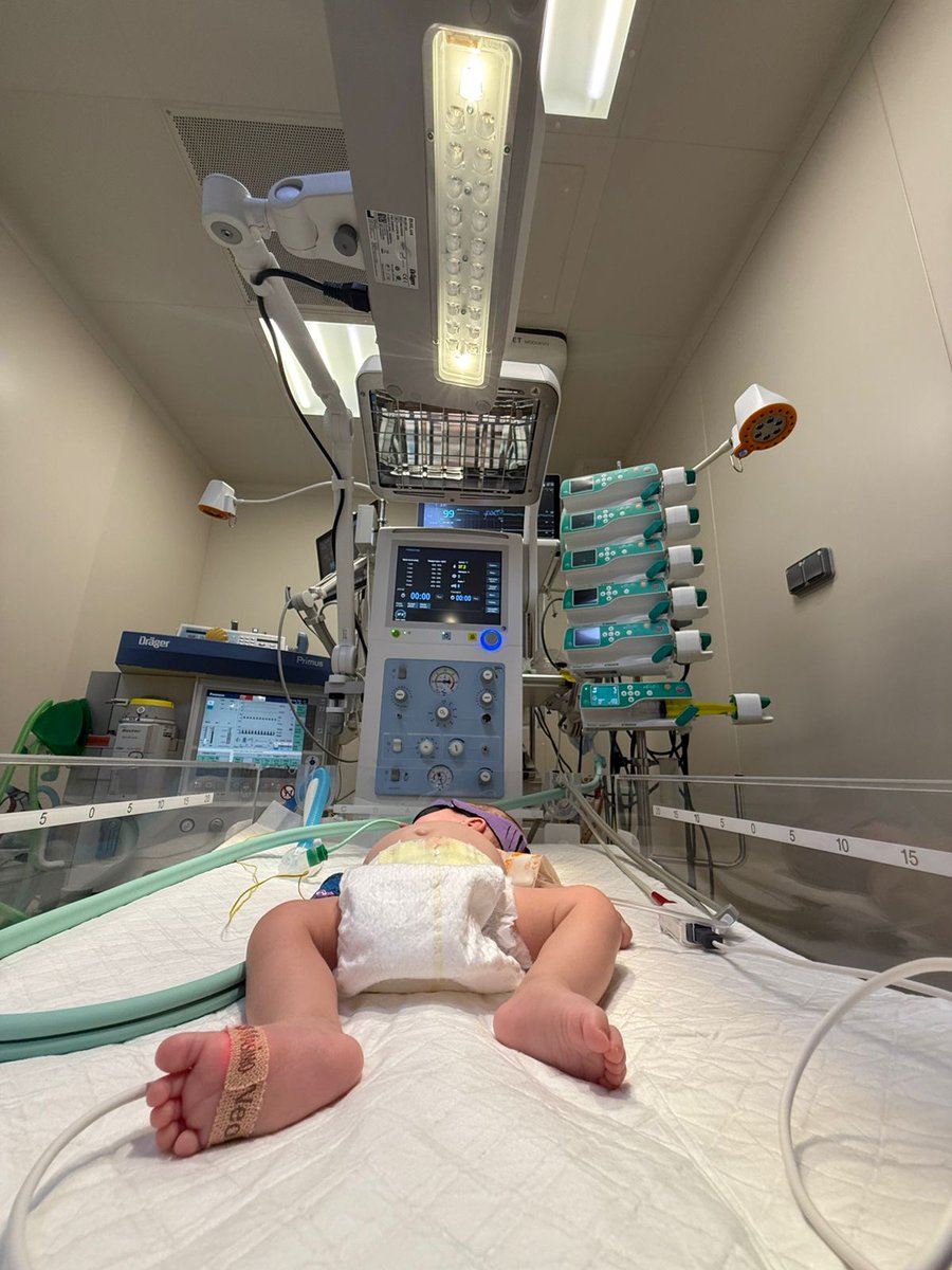AMCFU's tweet image. 👶 Une 2e table de réanimation Dräger et une lampe de photothérapie livrées à l’hôpital pédiatrique de Dnipro 🇺🇦

🙏 Merci à @FondationBNPP , @UkraineAmitie , Moret Loing et Orvanne, Dräger France, Sunagro Ukraine pour leur soutien précieux.

#Ukraine #Solidarité #Humanitaire