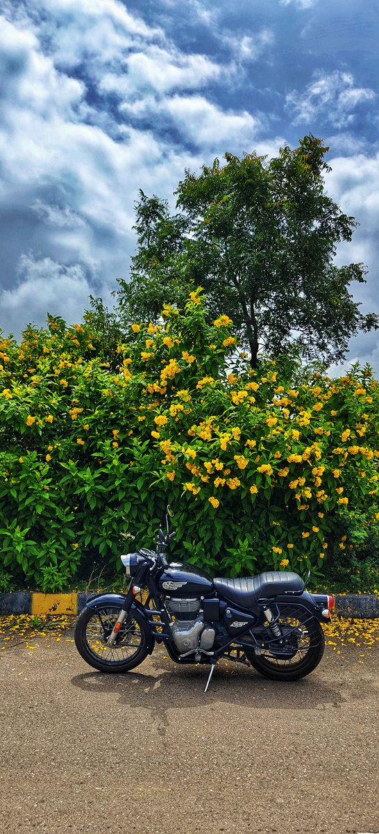 He Who Remains tweet media