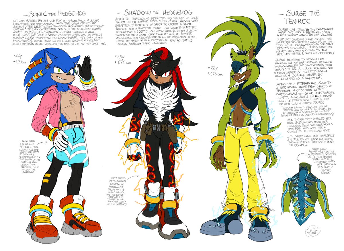 Babylon Rouges From Sonic Ancient Babylonians Sonic