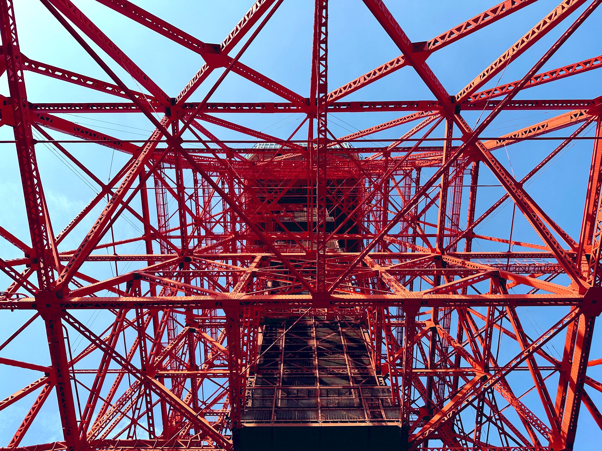 waka_ariです。遠藤3点 楽天市場】【ポイント2倍:9/11(木)9:59まで】【送料無料