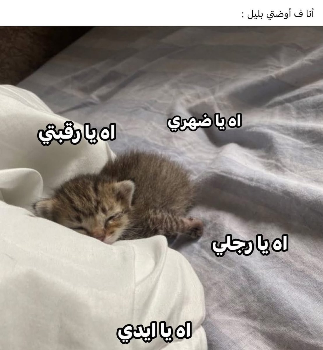 Fatma Sh (@fmss31) on Twitter photo 