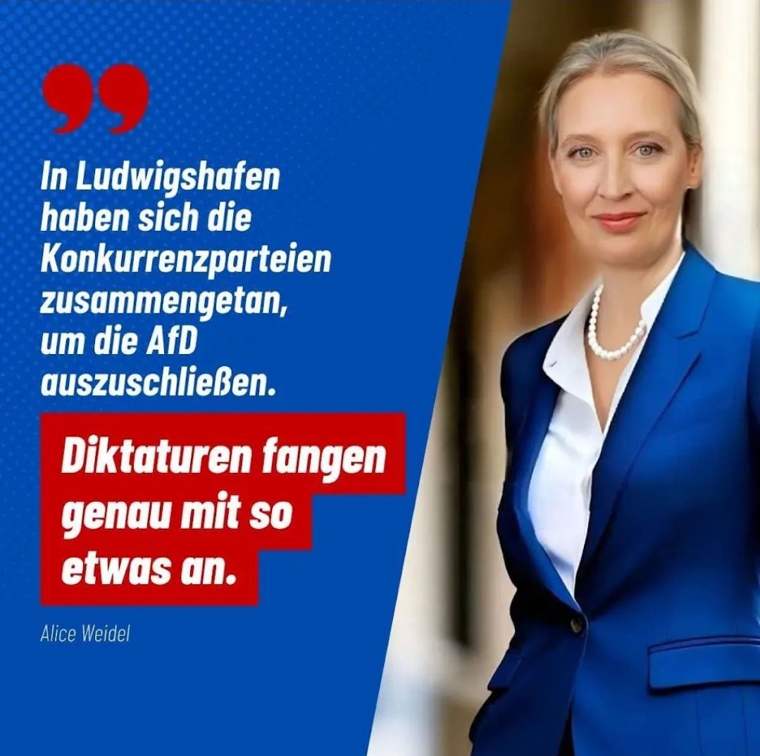 AfD-Sprecherin Alice Weidel bringt es auf den Punkt!