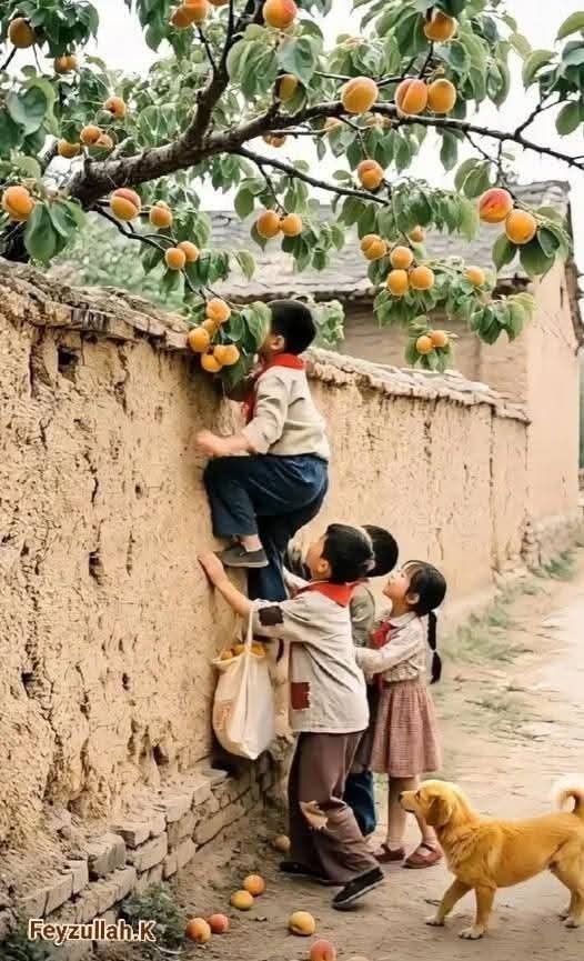 늘푸른소나무 (@nulpuleunsonamu) on Twitter photo 