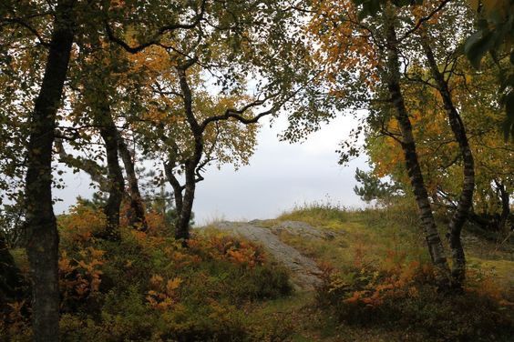 𝕰𝖑𝖊𝖒𝖒𝖎𝖗𝖊 tweet media