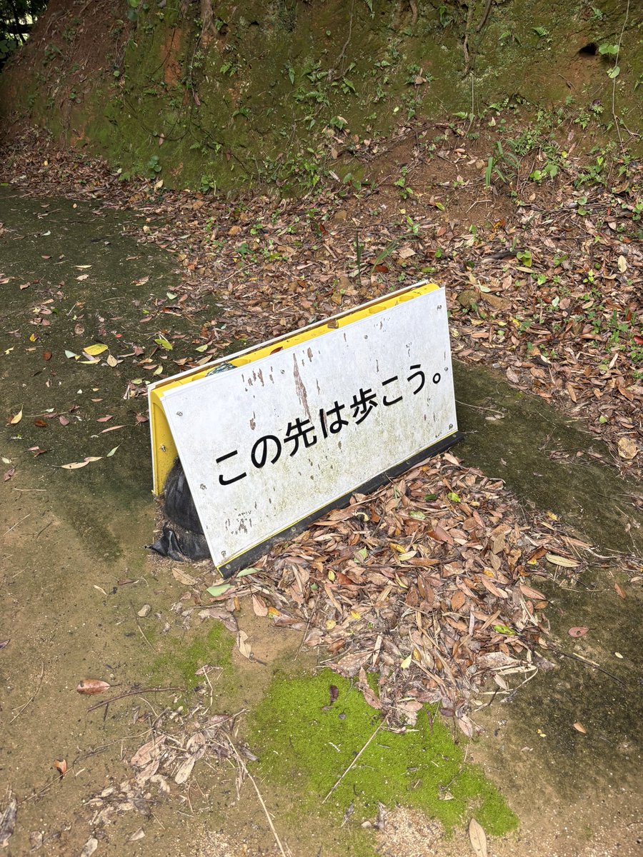 リリースから約2週間。
yahyelの”In Amber”聞いてくれた？
spaceshowerfuga.lnk.to/inamber

10年も経って、目を逸らさずに曲を作ることがやっとできたような感覚。
台風の後の夕方、大切な結晶。

世界に対して目を瞑らないために、目の前のことにも目を瞑らないでいたいと、思います。