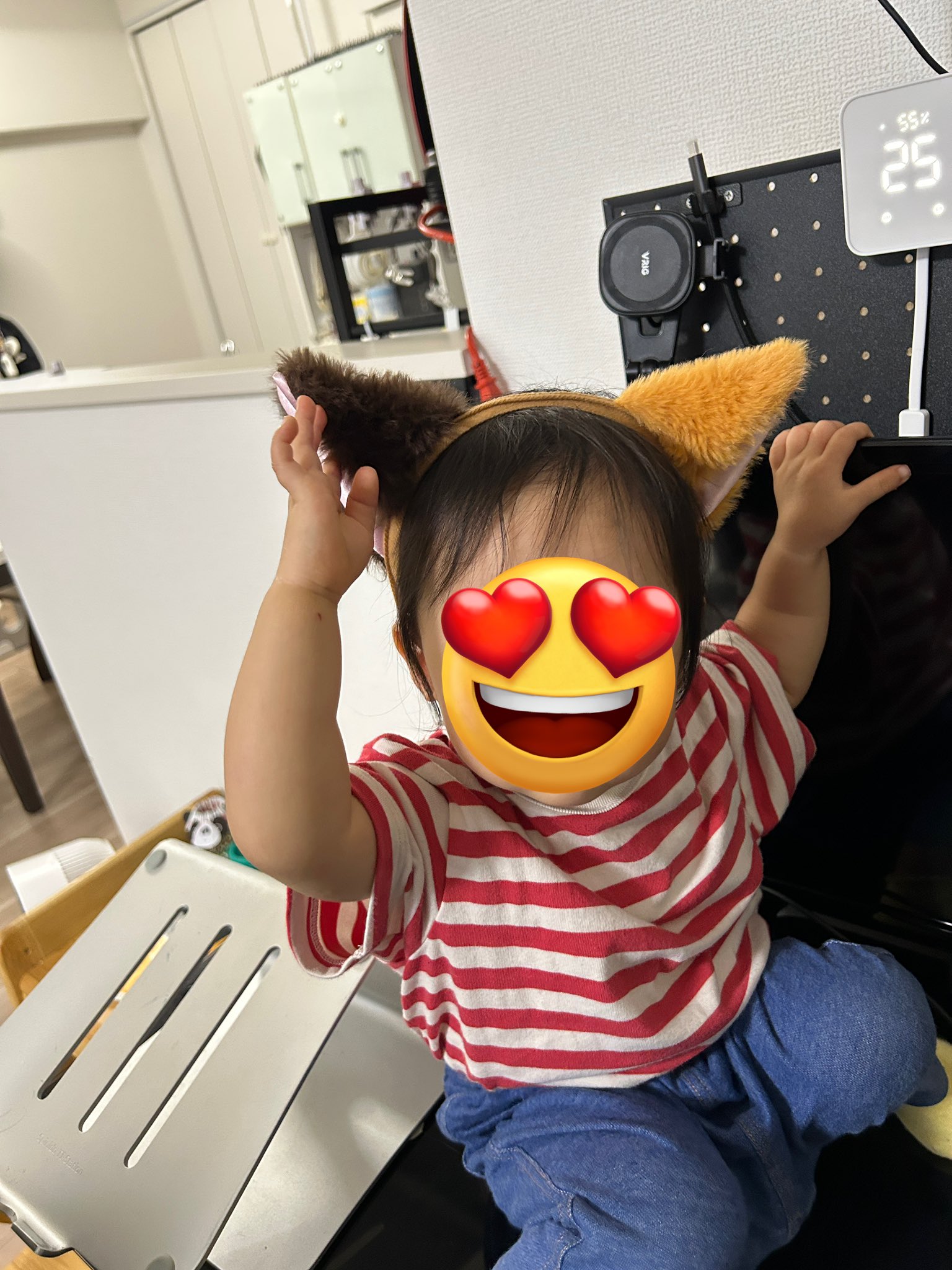 kitty お取り置きコメント用 Posts with replies by マッティ🐈🍡 (@life_m2k4) / X