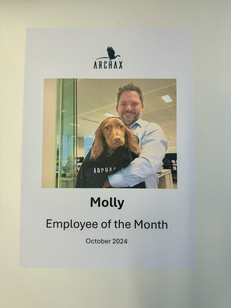 happy international dog day, would like to dedicate this tweet to Molly, who holds the record number of employee of the months at Archax

truly an inspawration
