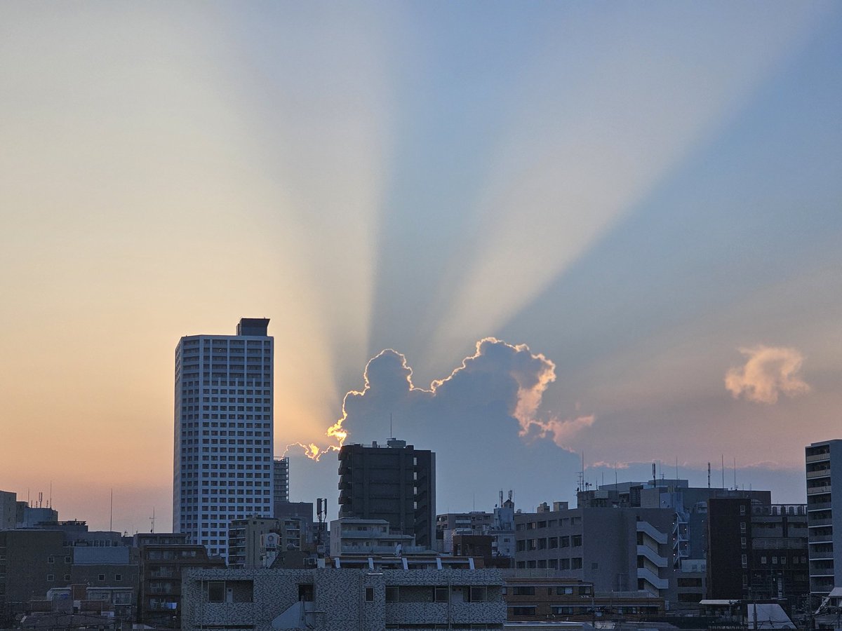실시간 도쿄 하늘🌅
예쁜 하늘보며 몬엑도 몬베베도 오늘 밤 푹 쉬길 : )