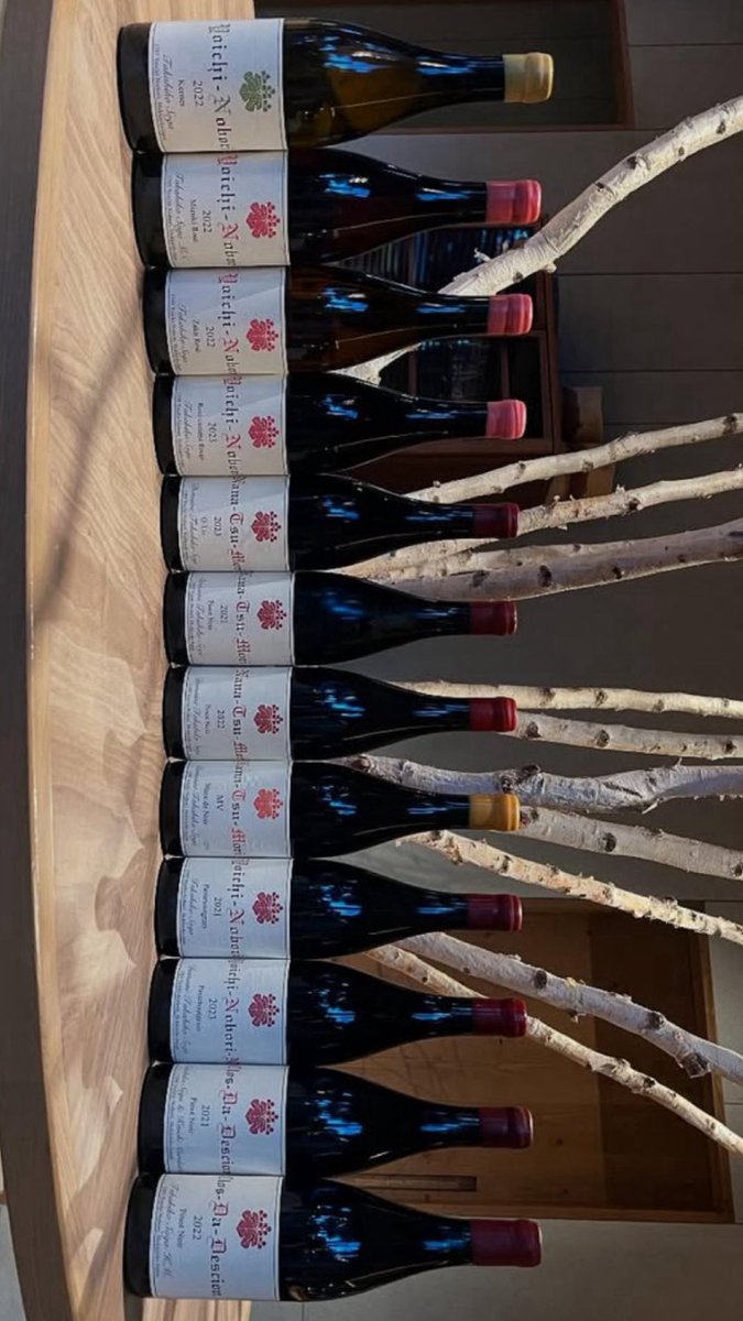 Takahiko, la gema 🦄🇯🇵