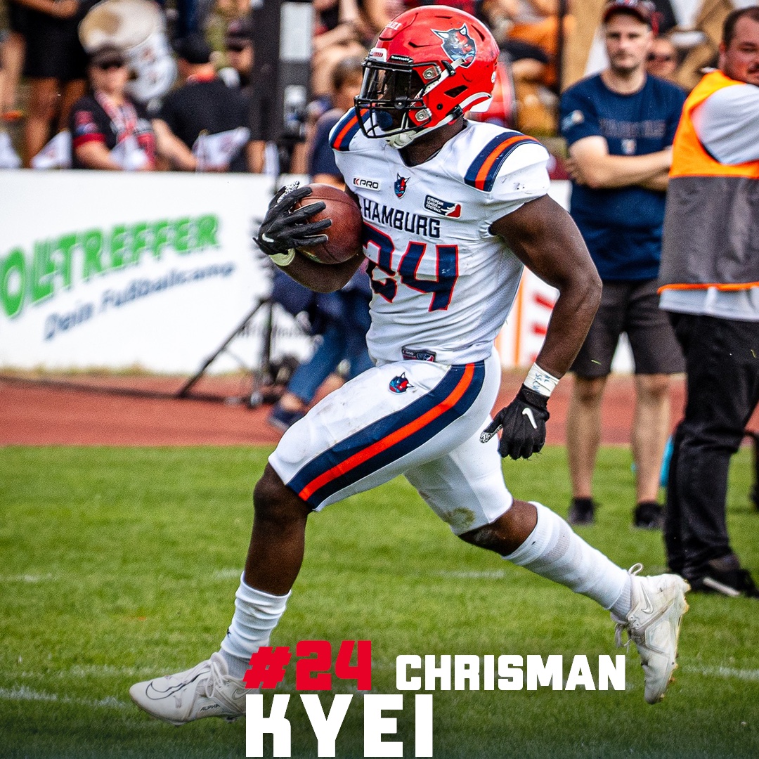 Hamburg Sea Devils tweet media