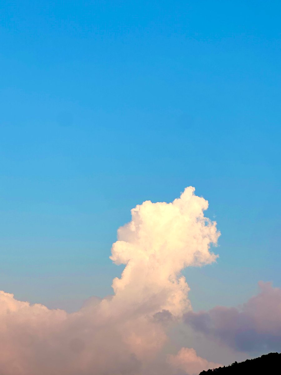 安藤🐺 (@voyagger3) on Twitter photo 