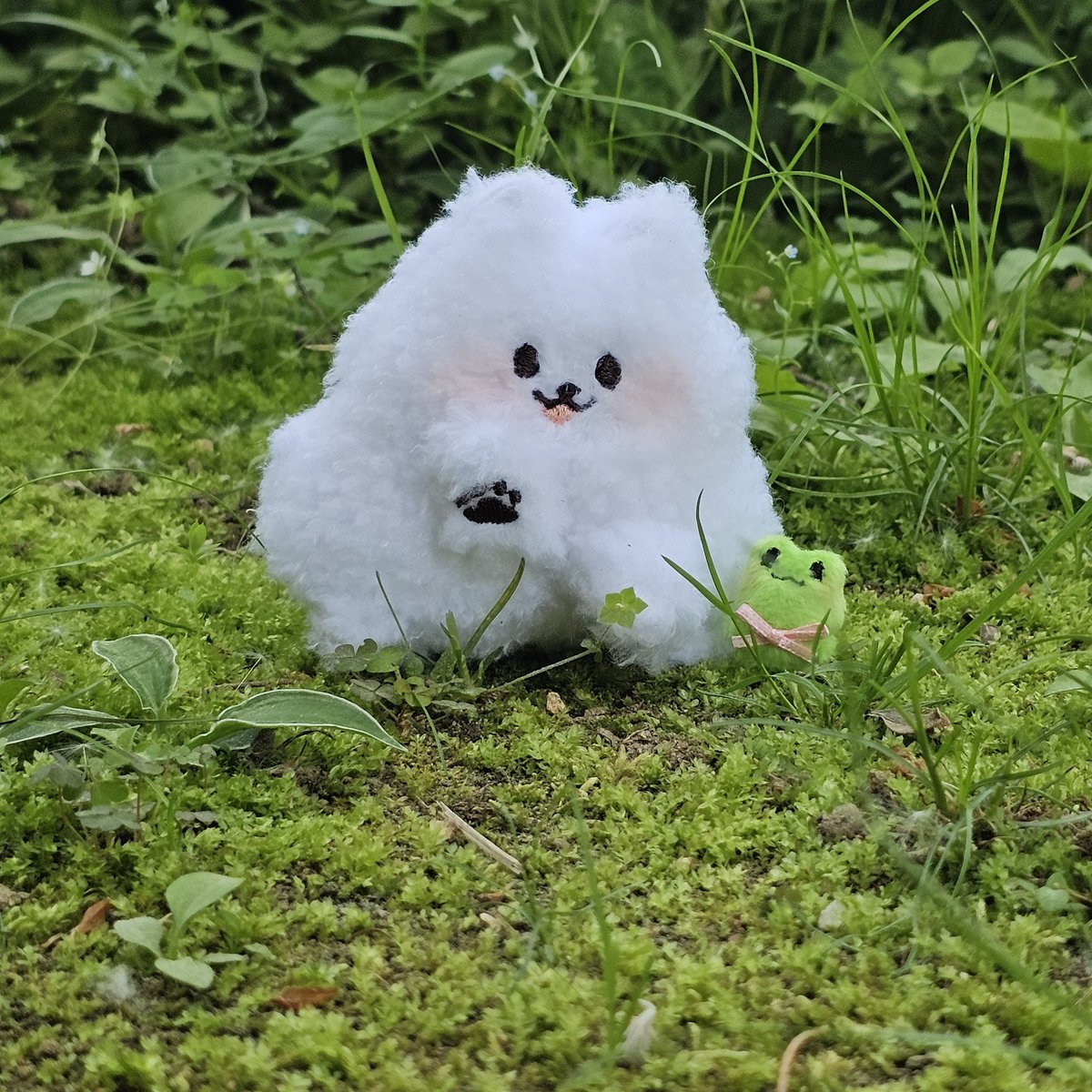 RT🤍
오늘이 세계 강아지의 날이라구하네요
이런 날 시고르자브댕 김삼식이가 빠질 수 없죠