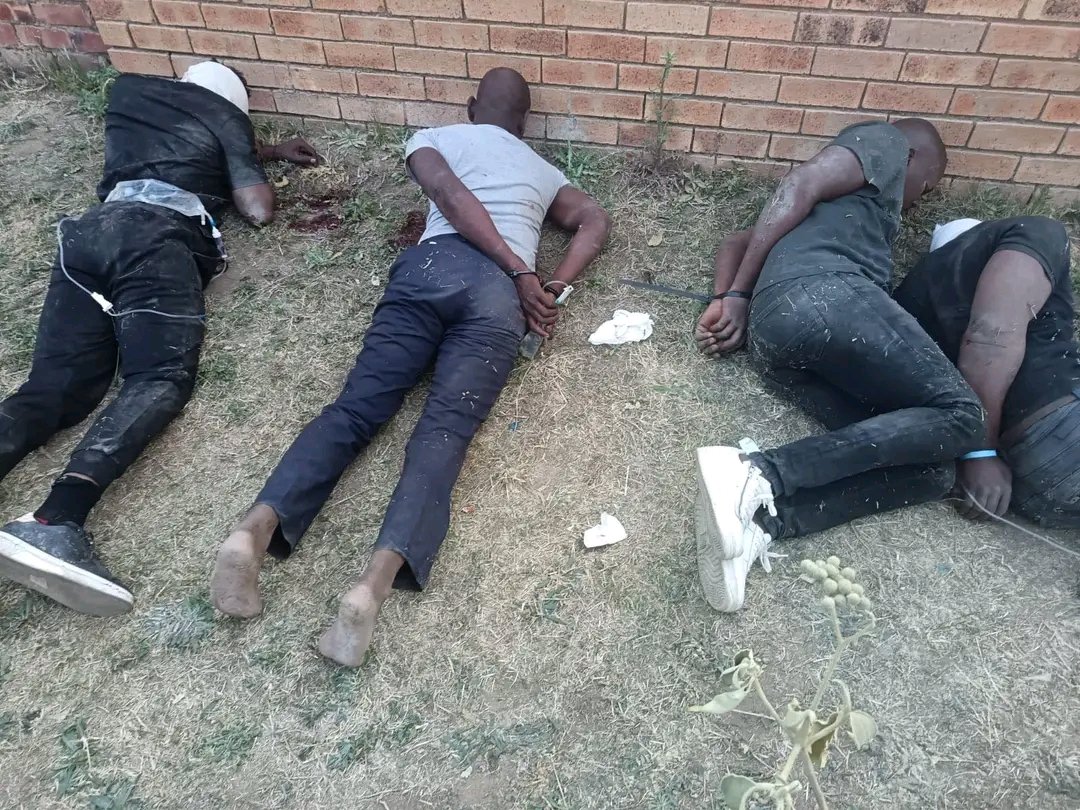 Amukelani Moyani (@amukelanimoyani) on Twitter photo Five illegal immigrants were arrested by Police for onine scams,kidnapping and robbery! Why didn't the <a href="/SAPoliceService/">SA Police Service 🇿🇦</a> kill them, because they will be released on bail and continue to prey on innocent individuals! Five illegal immigrants were arrested by Police for onine scams,kidnapping and robbery! Why didn't the <a href="/SAPoliceService/">SA Police Service 🇿🇦</a> kill them, because they will be released on bail and continue to prey on innocent individuals!